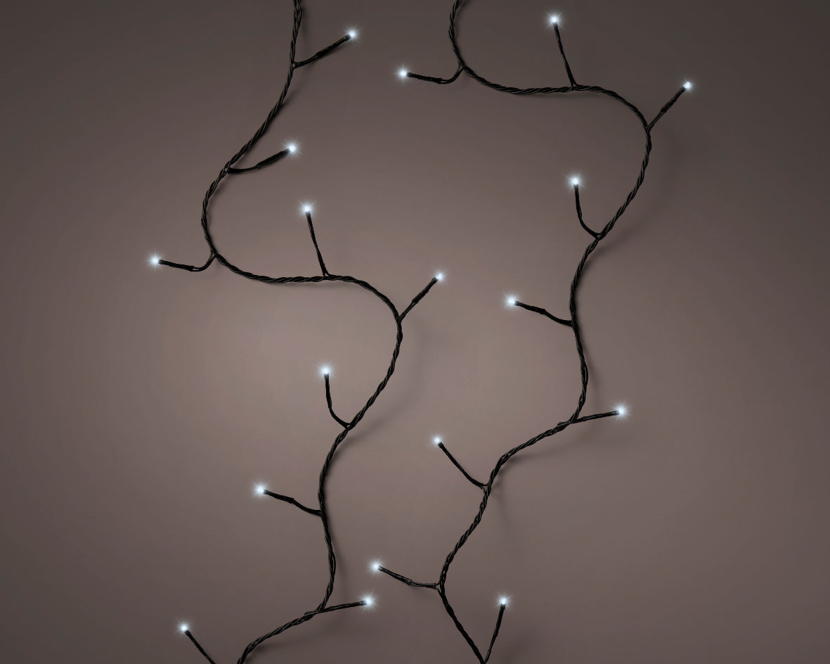 Christmas Lights | LED Twinkle Lights - Colour & Size Options